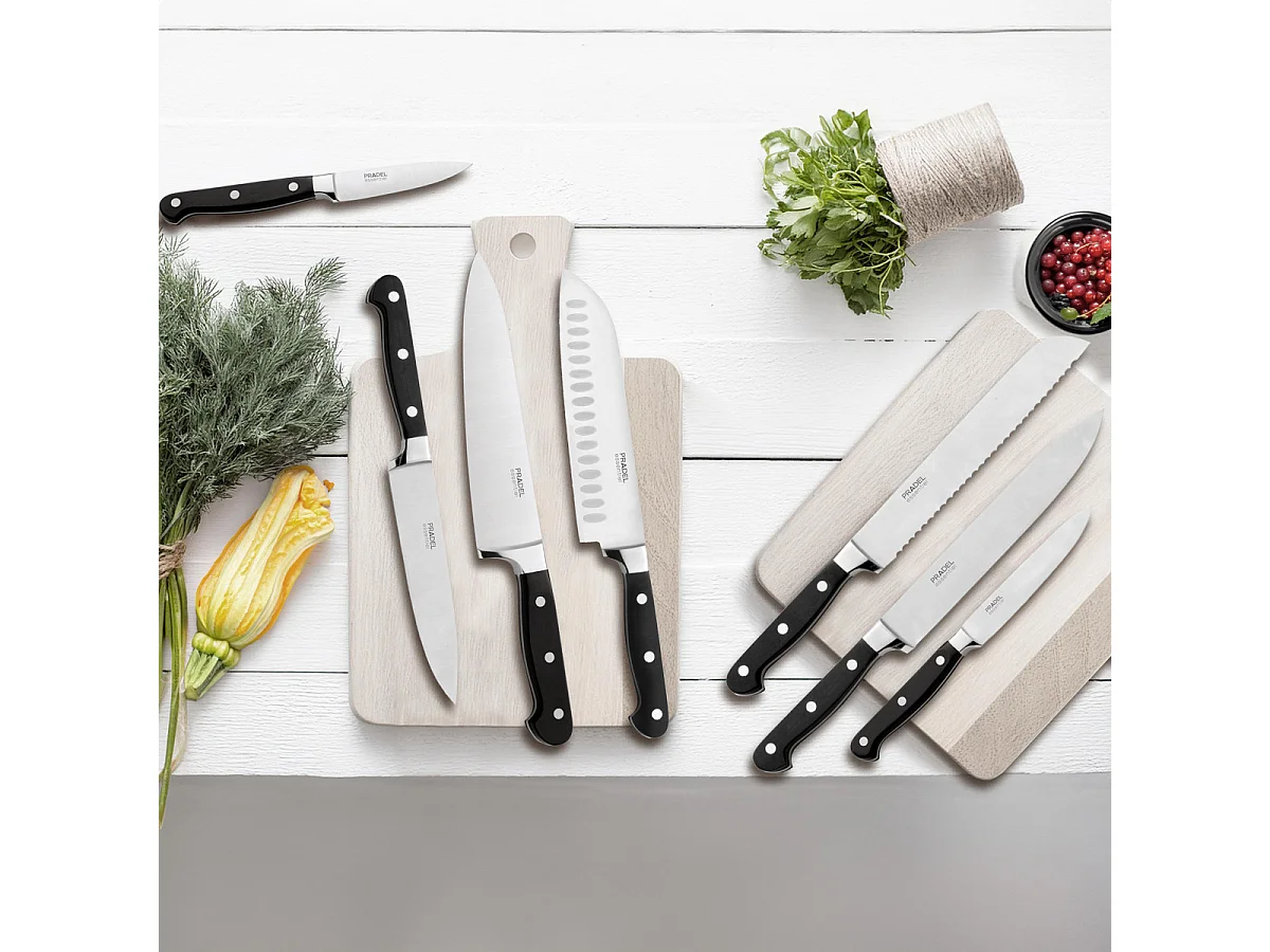 Blason - Set 5 couteaux de cuisine