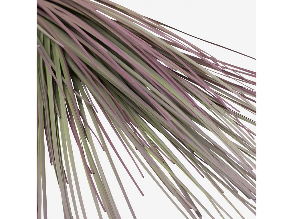 Habitat - Piquet d'herbes - Sia green shop