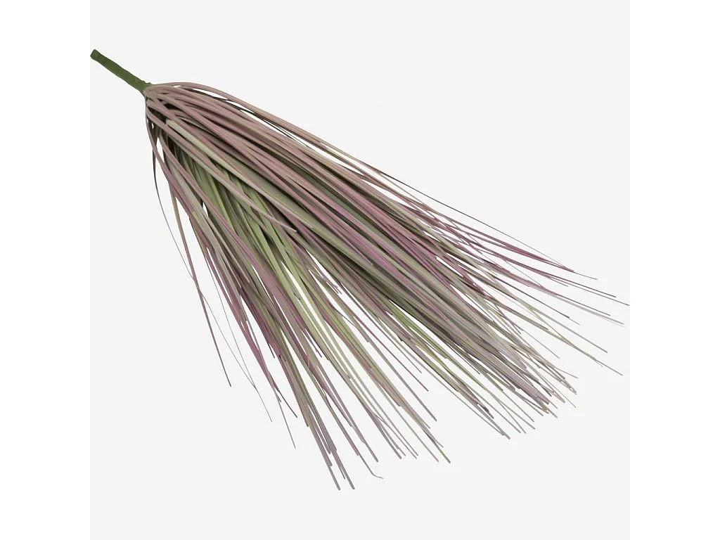 Habitat - Piquet d'herbes - Sia green shop