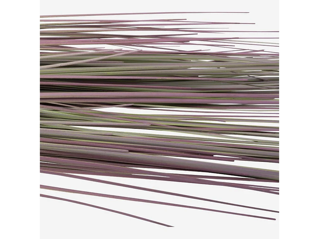 Habitat - Piquet d'herbes - Sia green shop