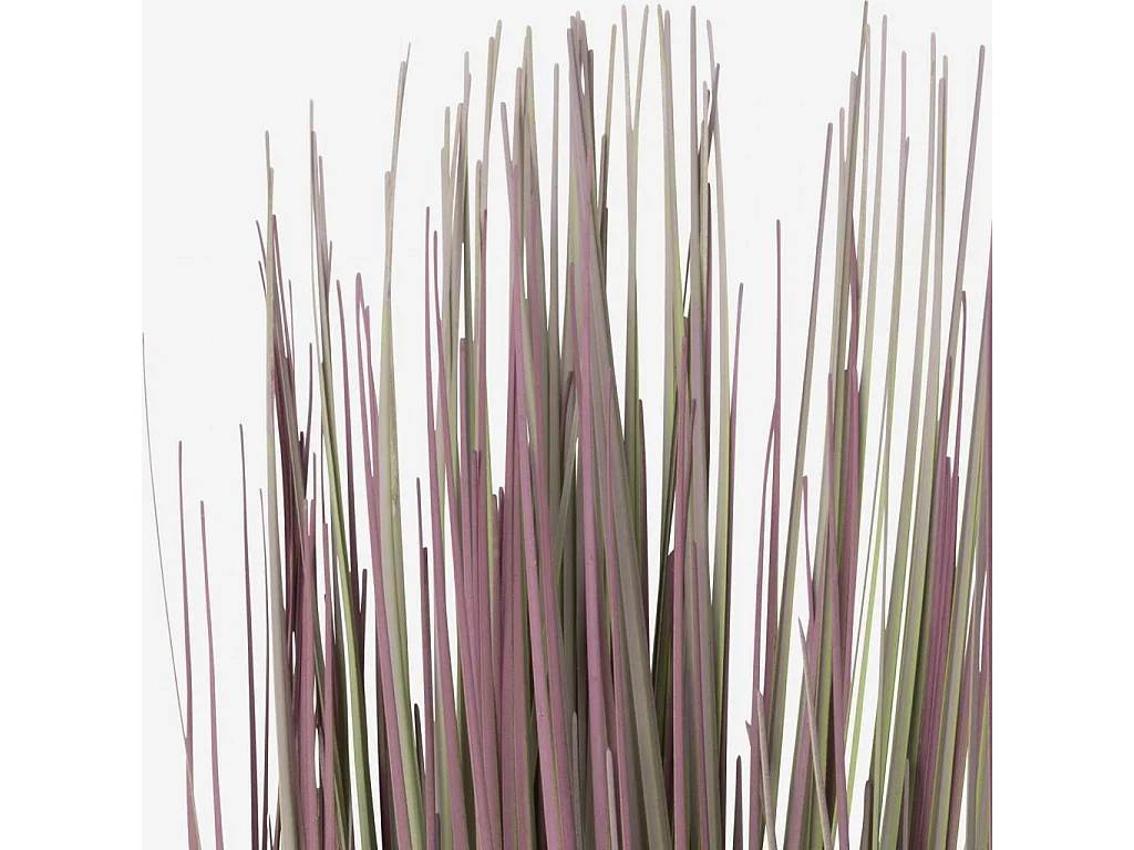 Habitat - Piquet d'herbes - Sia green shop