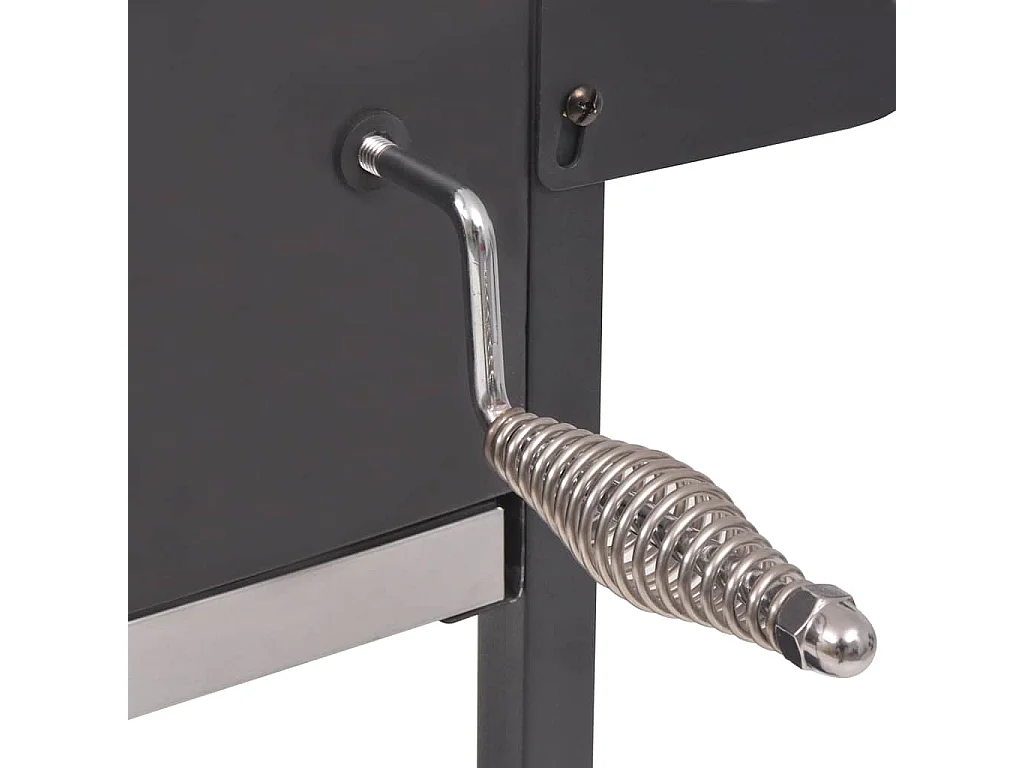 Barbecue a Carbonella con Ripiano Inferiore Nero