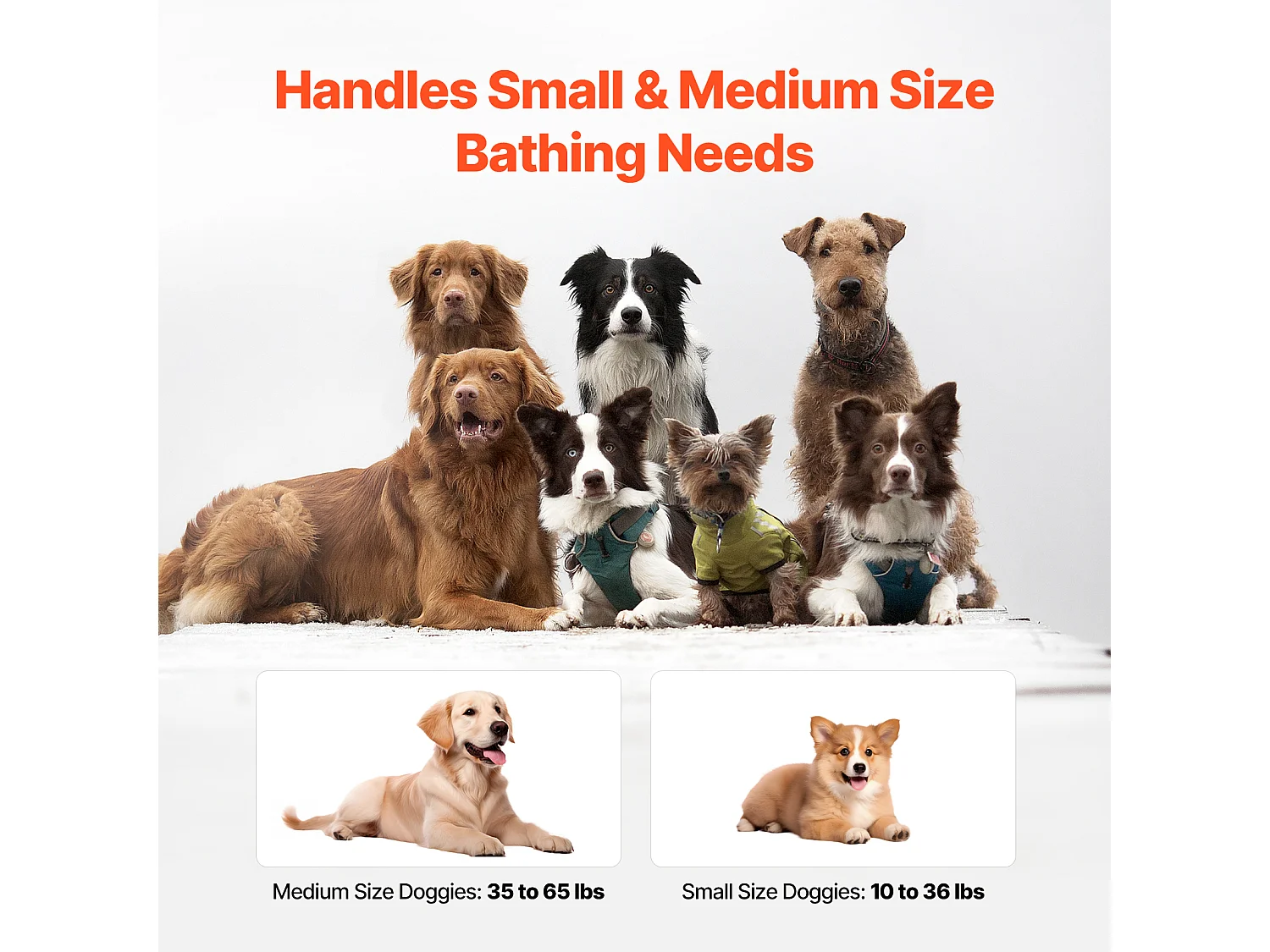 Bañera de Aseo, SucceBuy Bañera Plegable para Mascotas Pequeñas, Gris