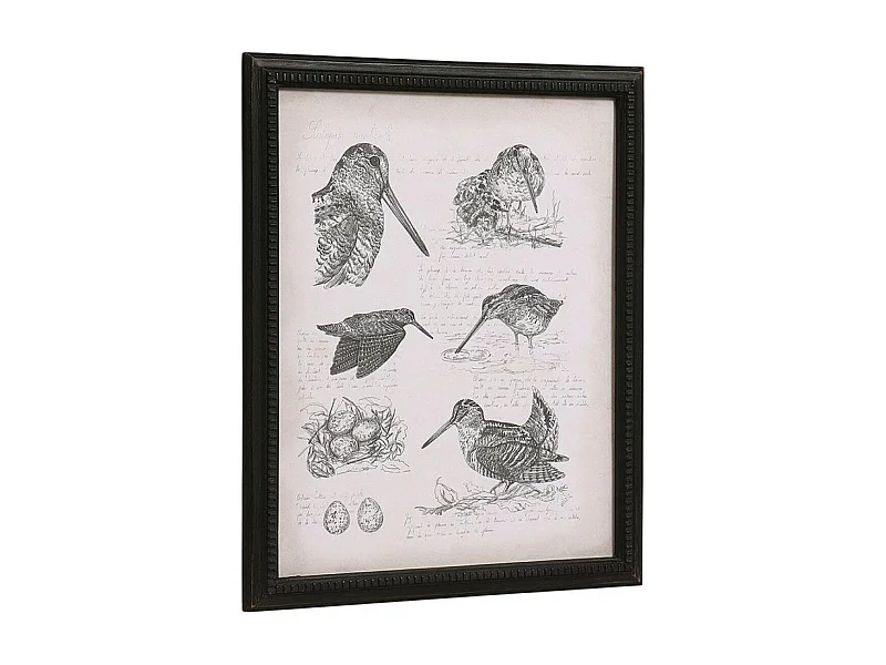 Gravure bécasse Bois Noir - Chic Interior's