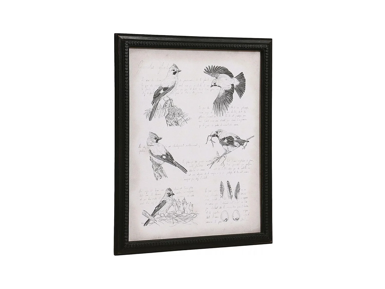 Gravure ancienne Bois Noir - Chic Interior's