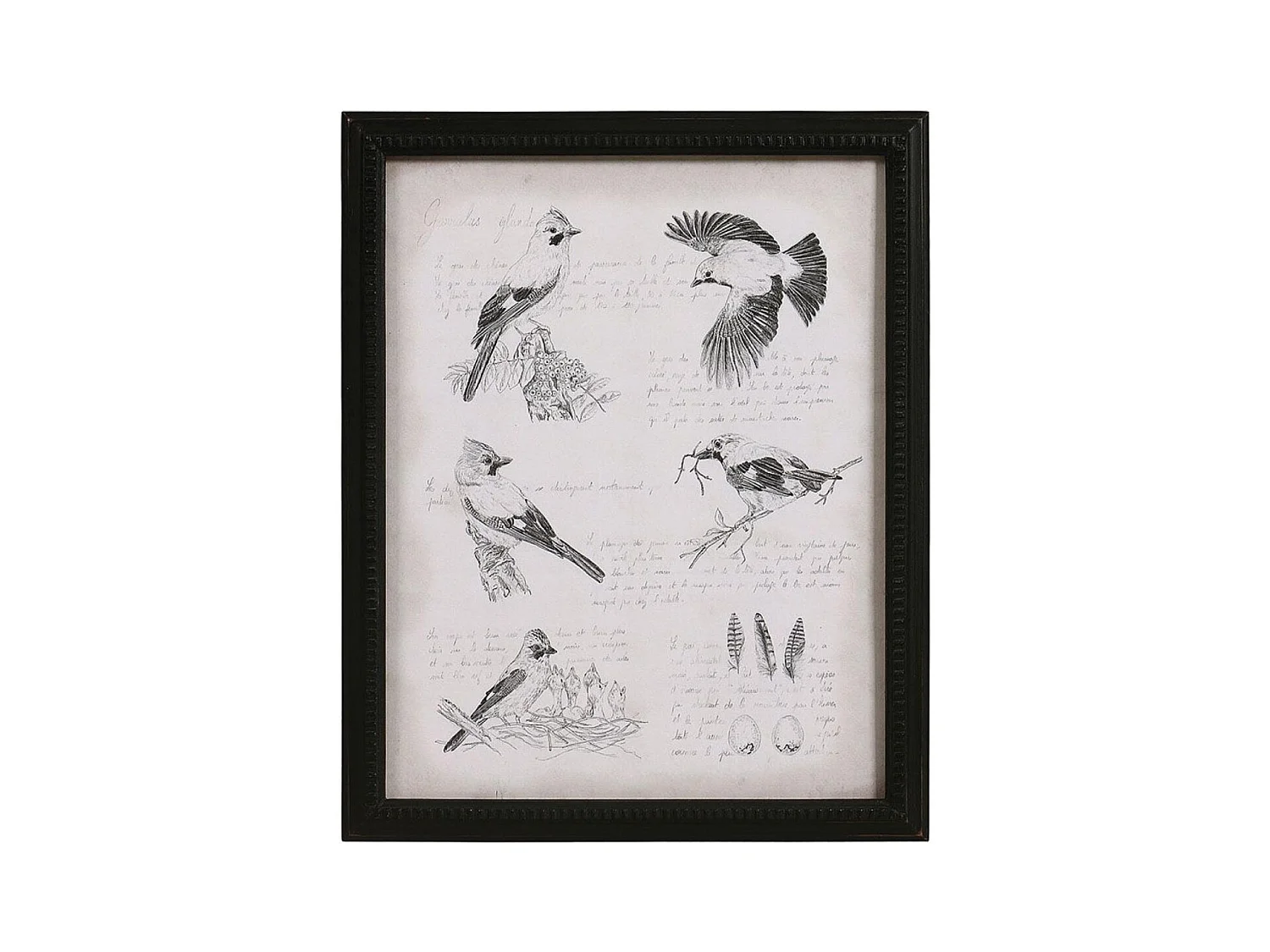 Gravure ancienne Bois Noir - Chic Interior's