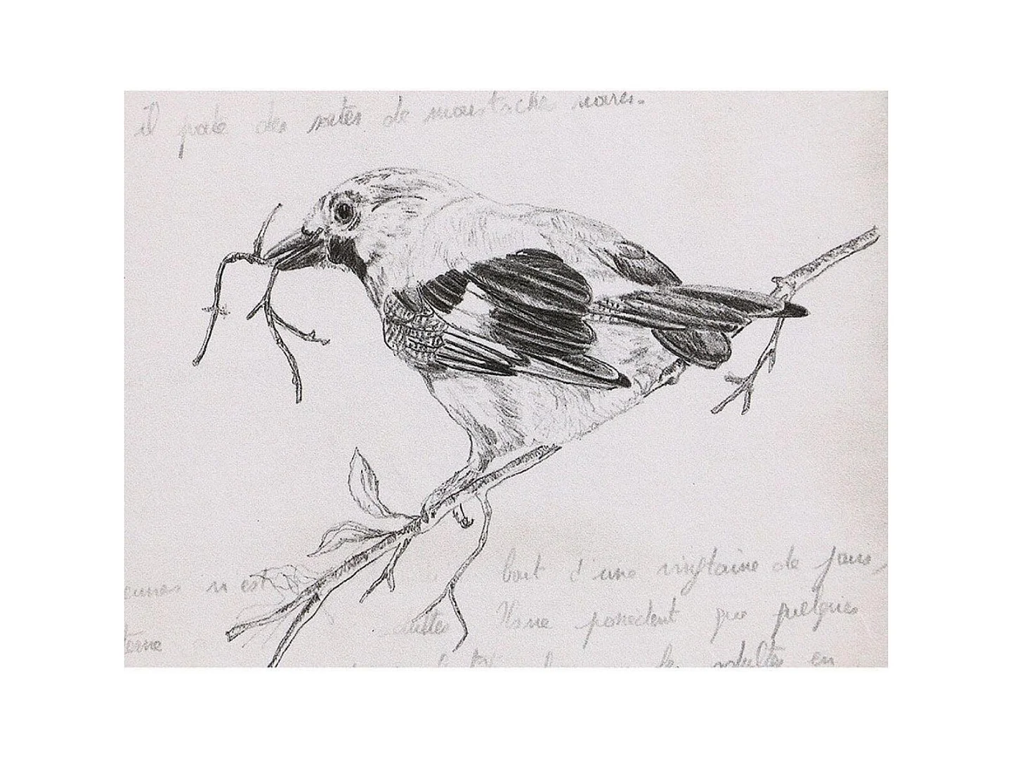 Gravure ancienne Bois Noir - Chic Interior's