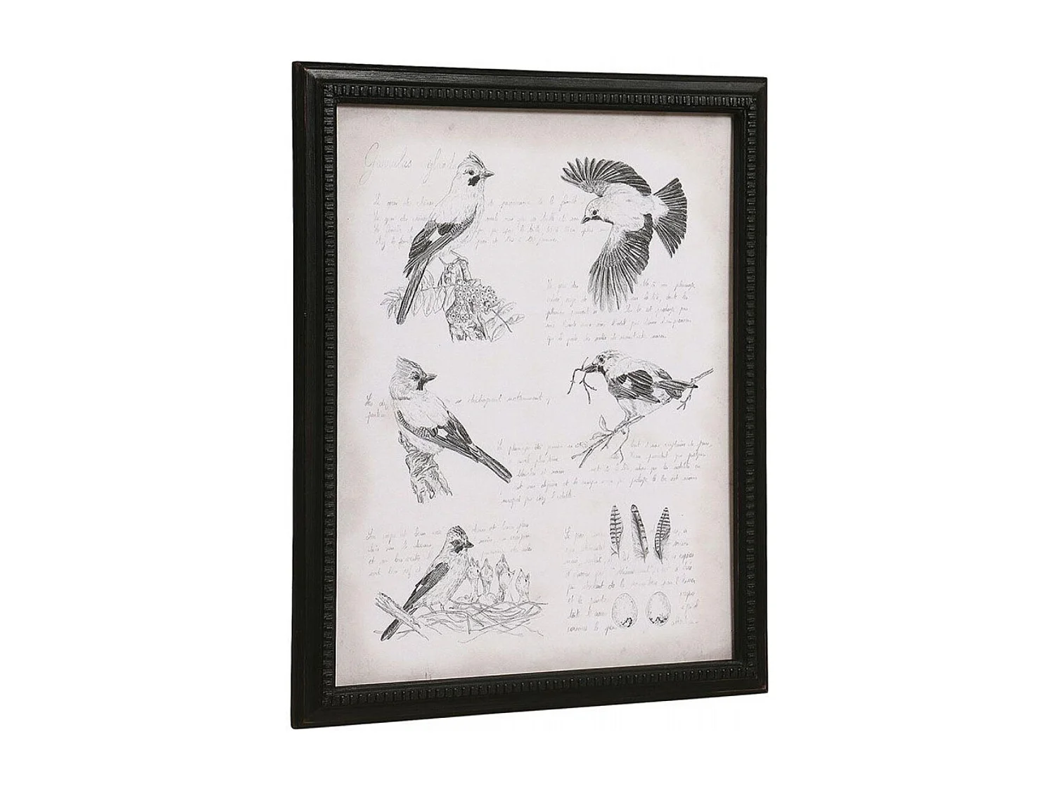 Gravure ancienne Bois Noir - Chic Interior's