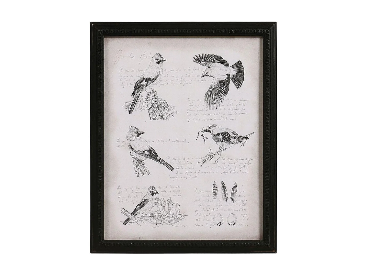 Gravure ancienne Bois Noir - Chic Interior's