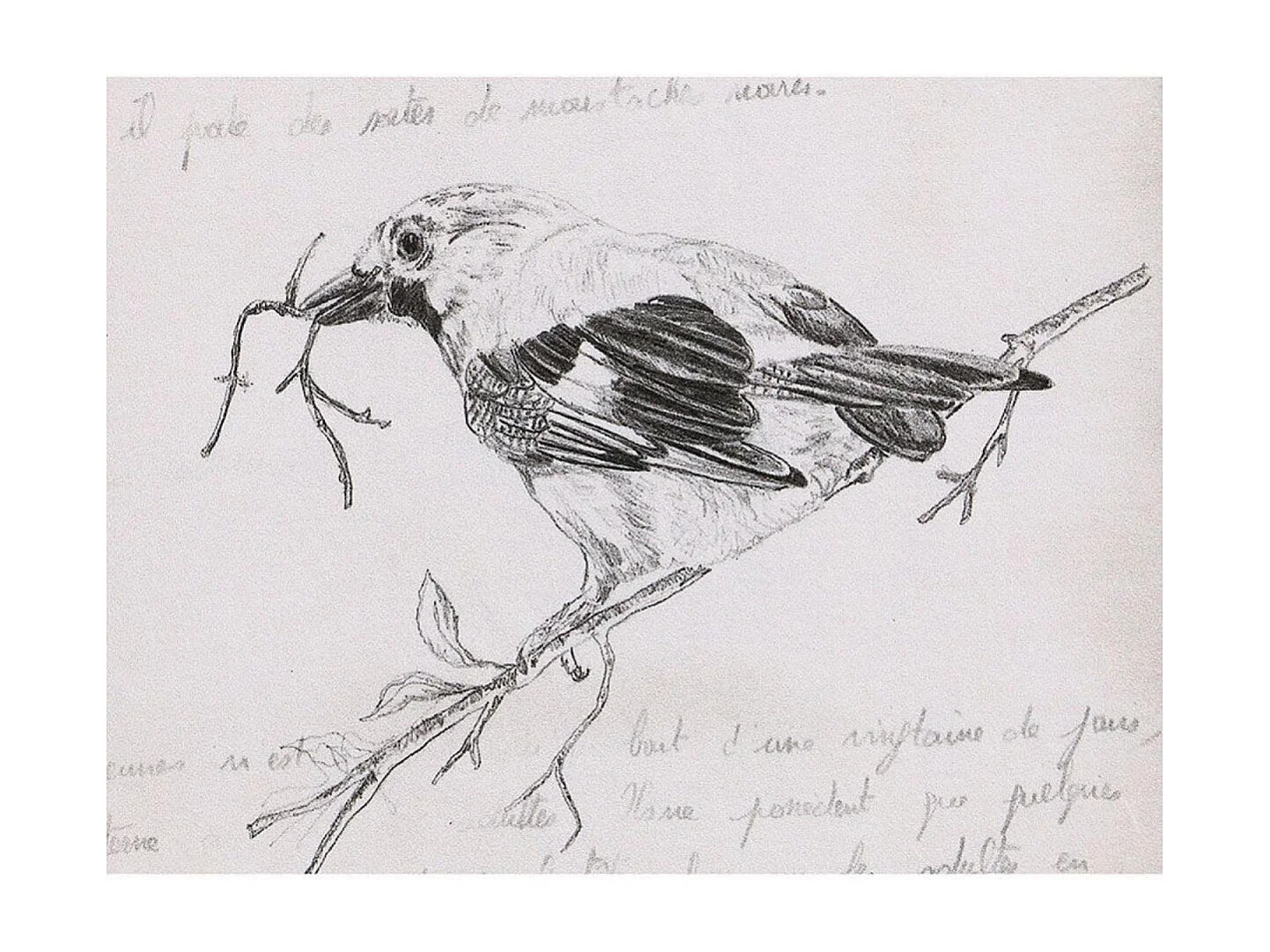 Gravure ancienne Bois Noir - Chic Interior's