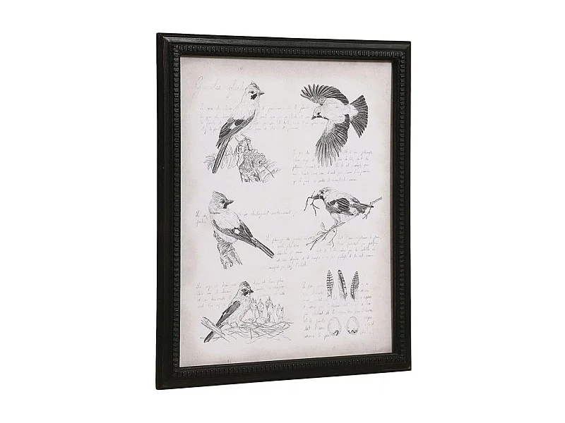 Gravure ancienne Bois Noir - Chic Interior's