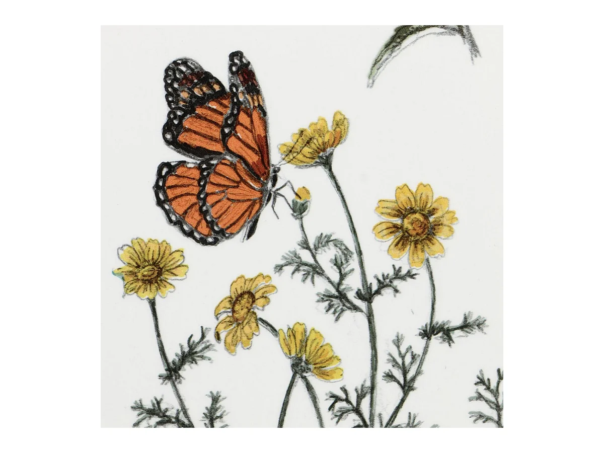 Tableau duo disques champêtres Bois Multicolore - Campagne Interior's