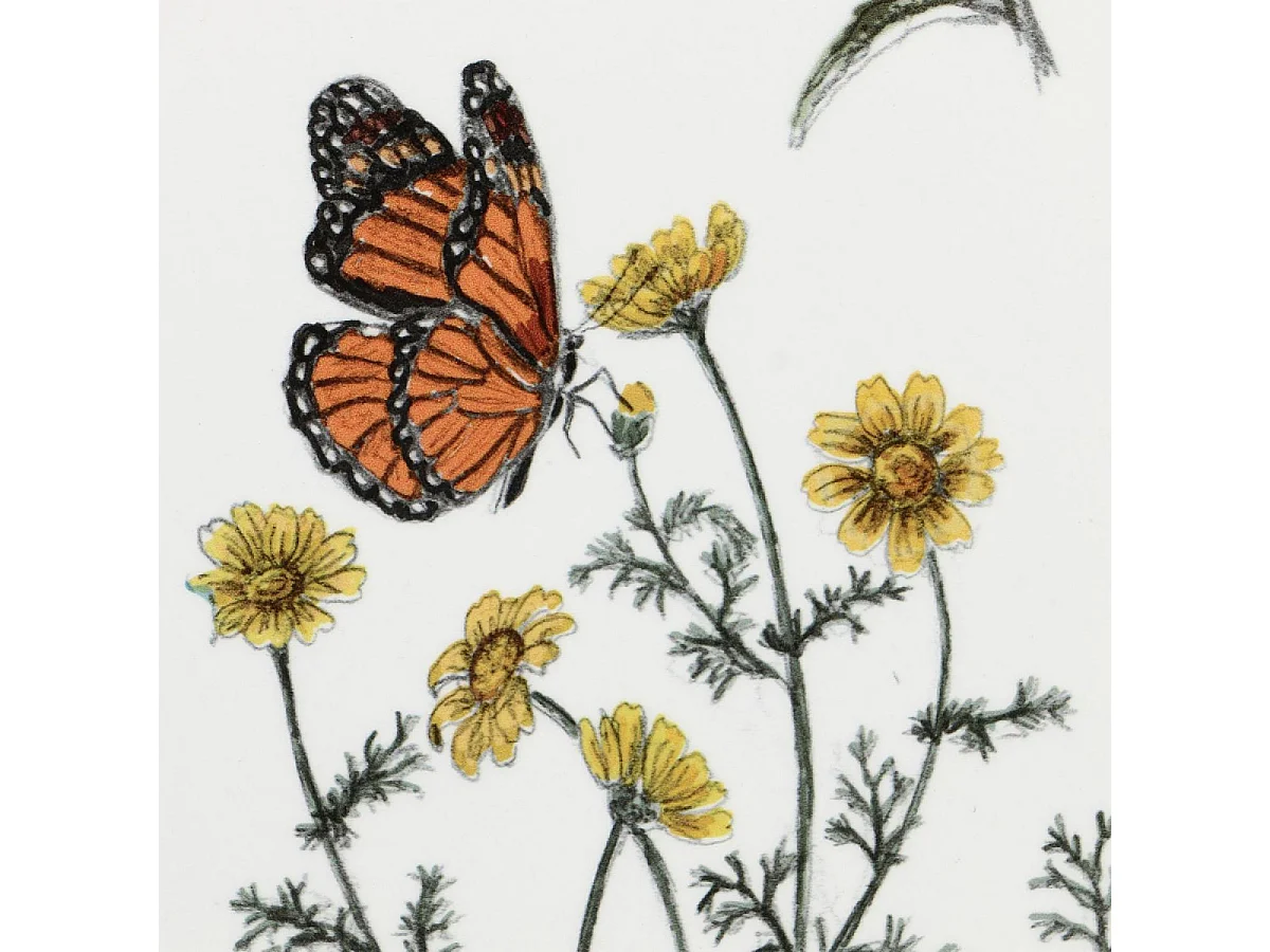 Tableau duo disques champêtres Bois Multicolore - Campagne Interior's