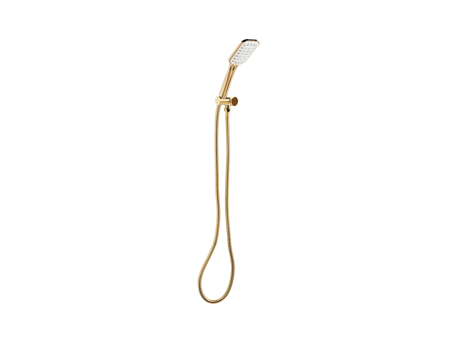 Kit de pommeau de douche avec tuyau flexible AMAJA Doré