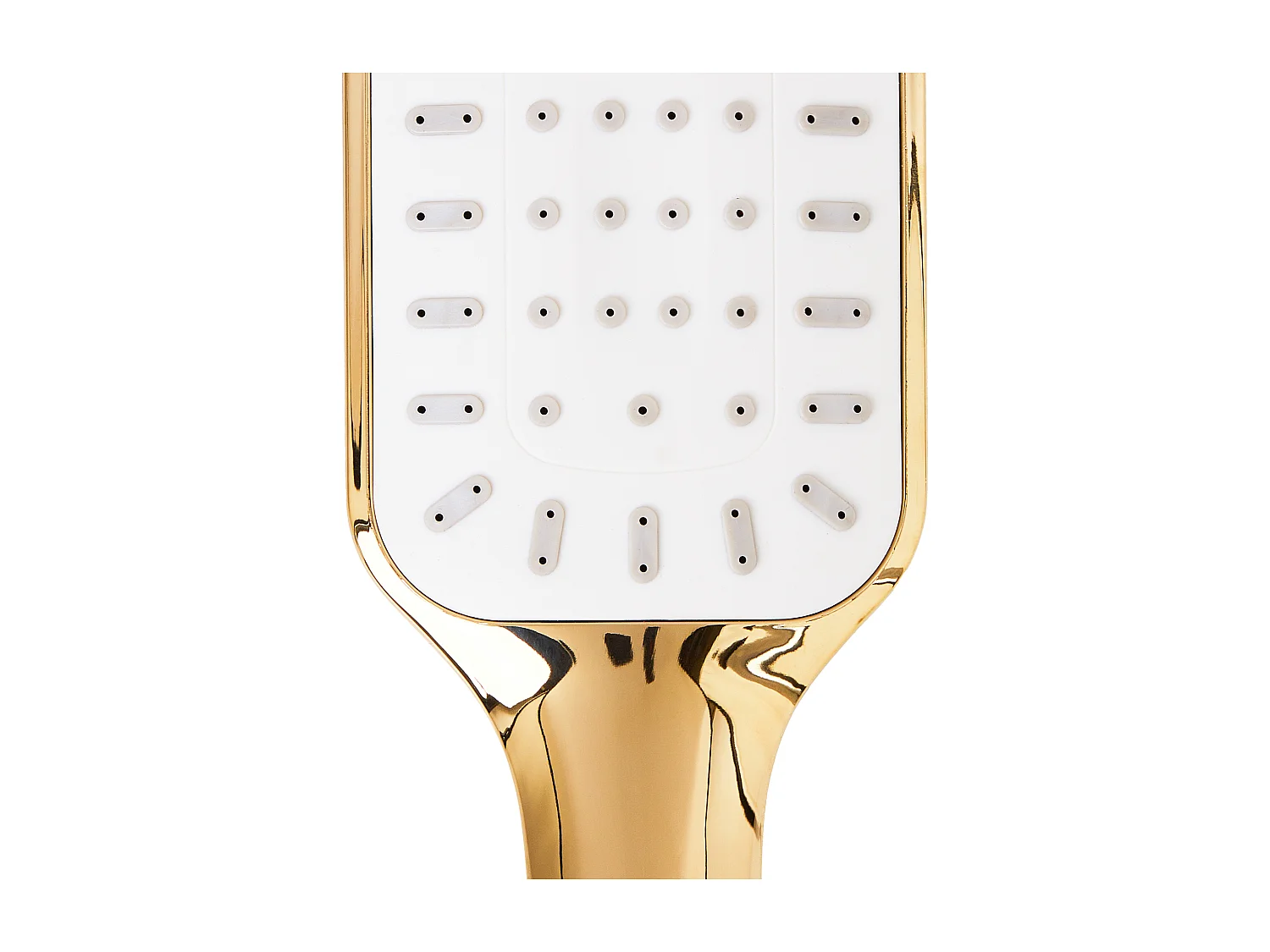 Kit de pommeau de douche avec tuyau flexible AMAJA Doré