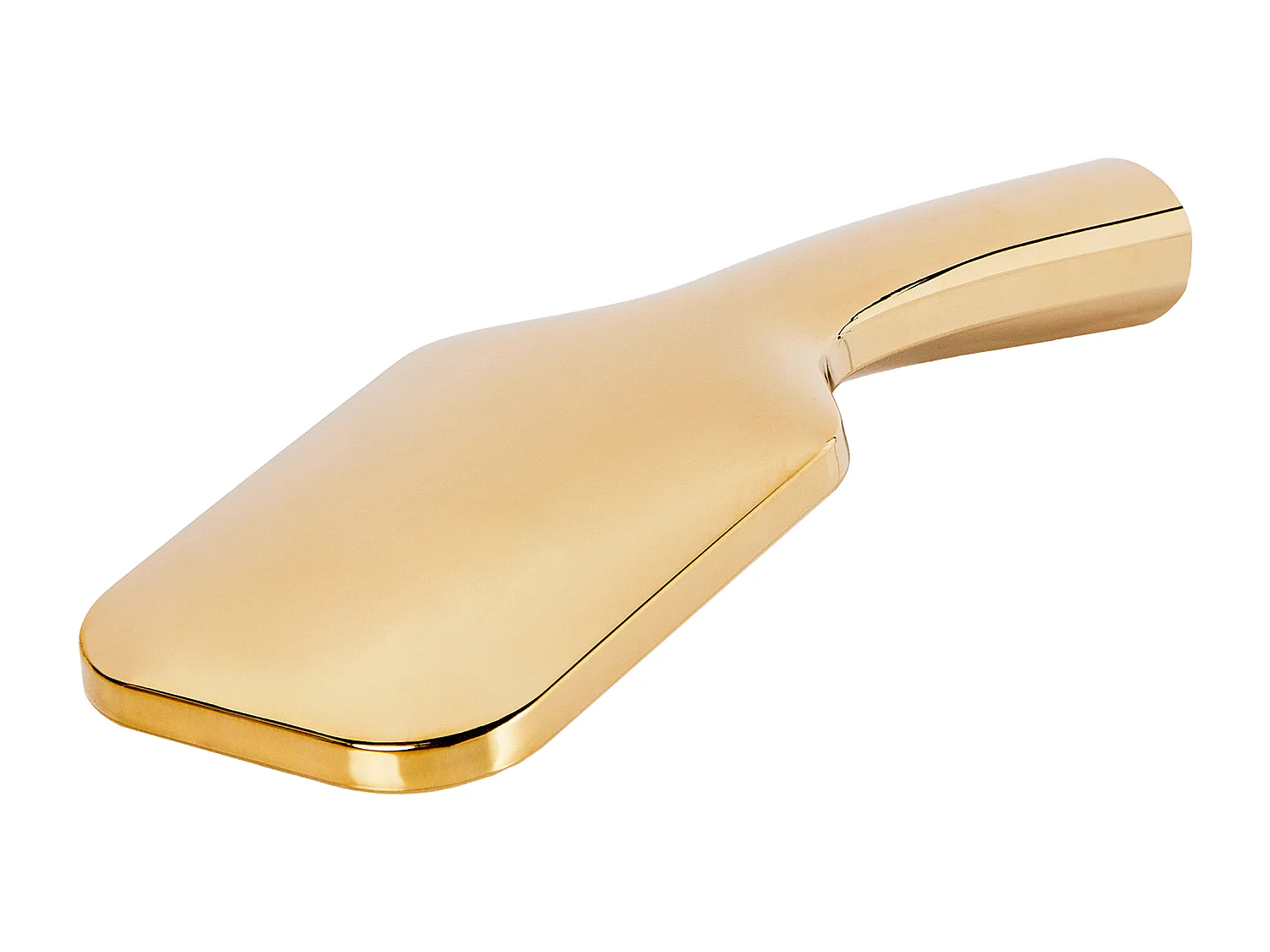 Kit de pommeau de douche avec tuyau flexible AMAJA Doré