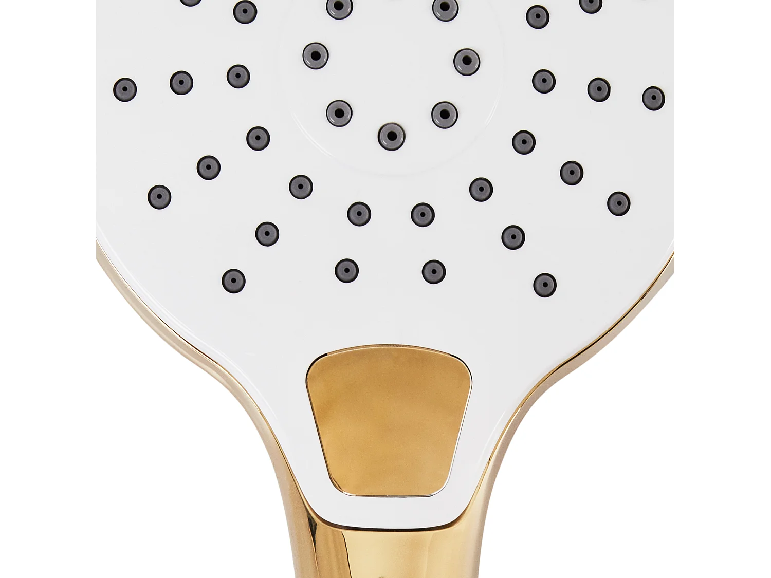 Kit de pommeau de douche avec tuyau flexible IQUIRA 4 modes Doré