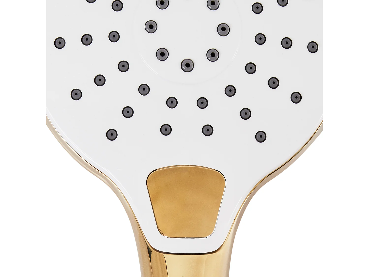 Kit de pommeau de douche avec tuyau flexible IQUIRA 4 modes Doré