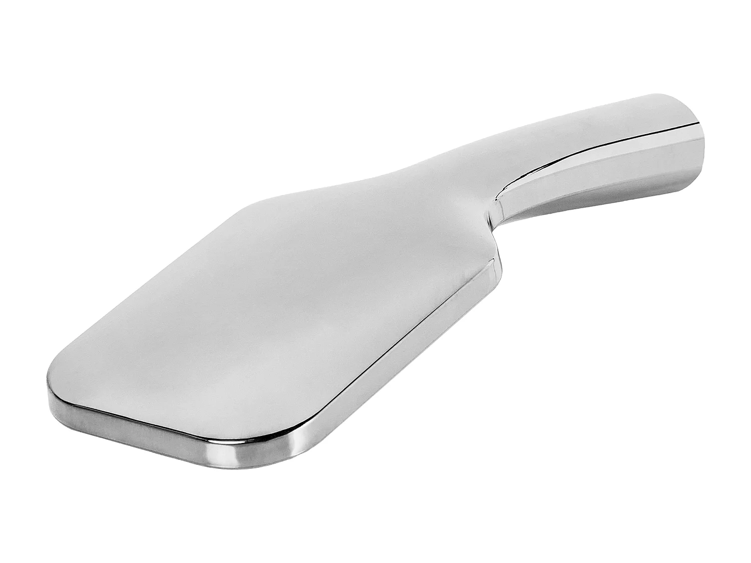 Kit de pommeau de douche avec tuyau flexible AMAJA Argenté