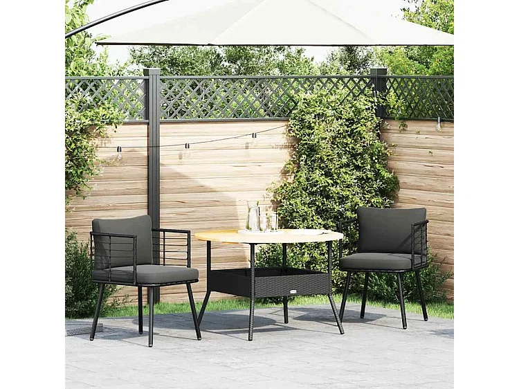 Chaises de jardin lot de 2 avec coussins noir résine tressée