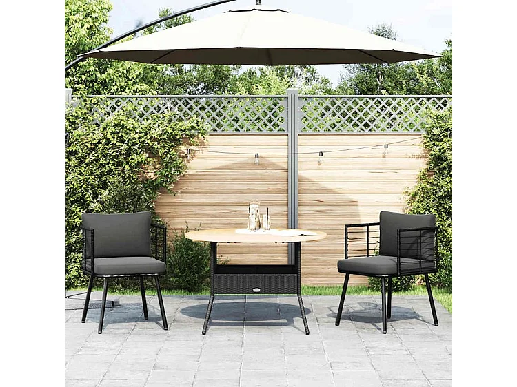 Chaises de jardin lot de 2 avec coussins noir résine tressée