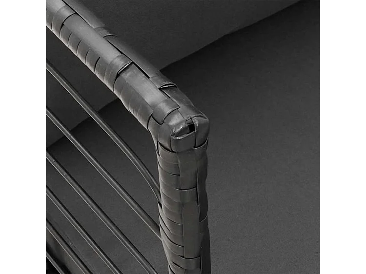 Chaises de jardin lot de 2 avec coussins noir résine tressée