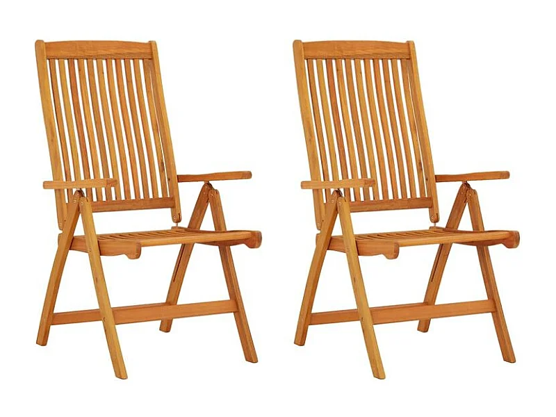 Chaises de jardin pliables lot de 2 Bois d'eucalyptus massif