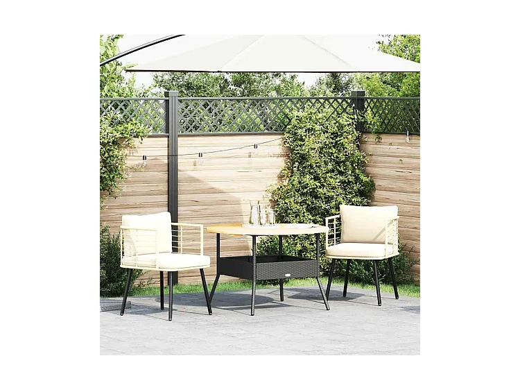 Chaises de jardin lot de 2 avec coussins naturel résine tressée