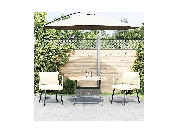 Chaises de jardin lot de 2 avec coussins naturel résine tressée