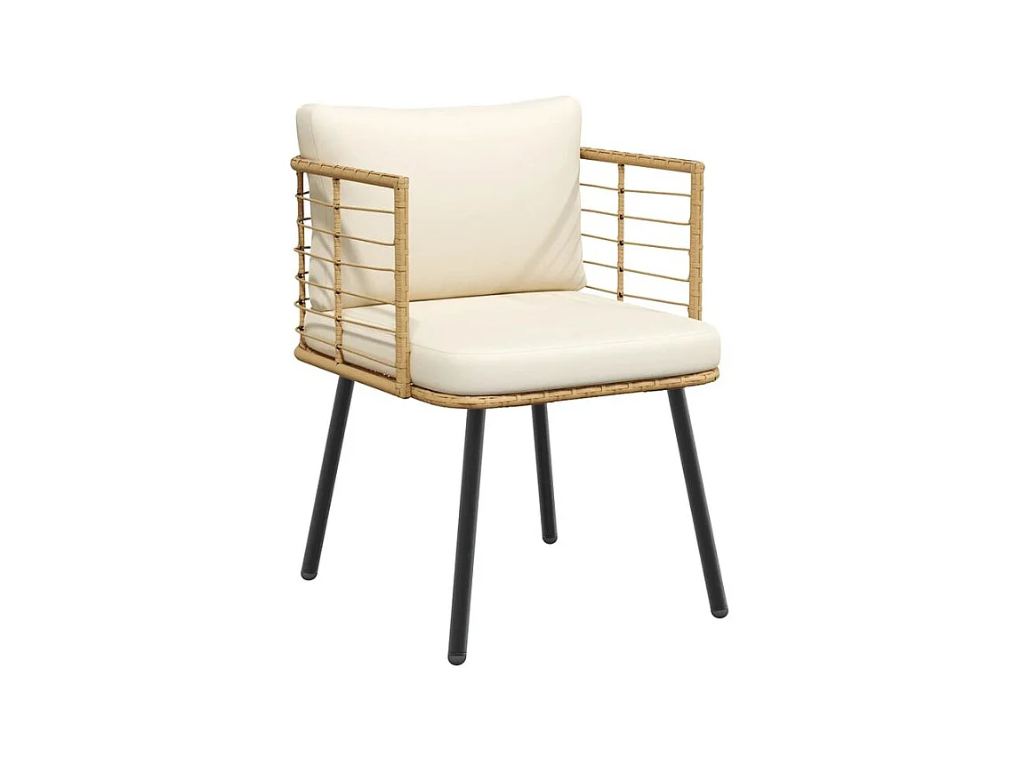 Chaises de jardin lot de 2 avec coussins naturel résine tressée