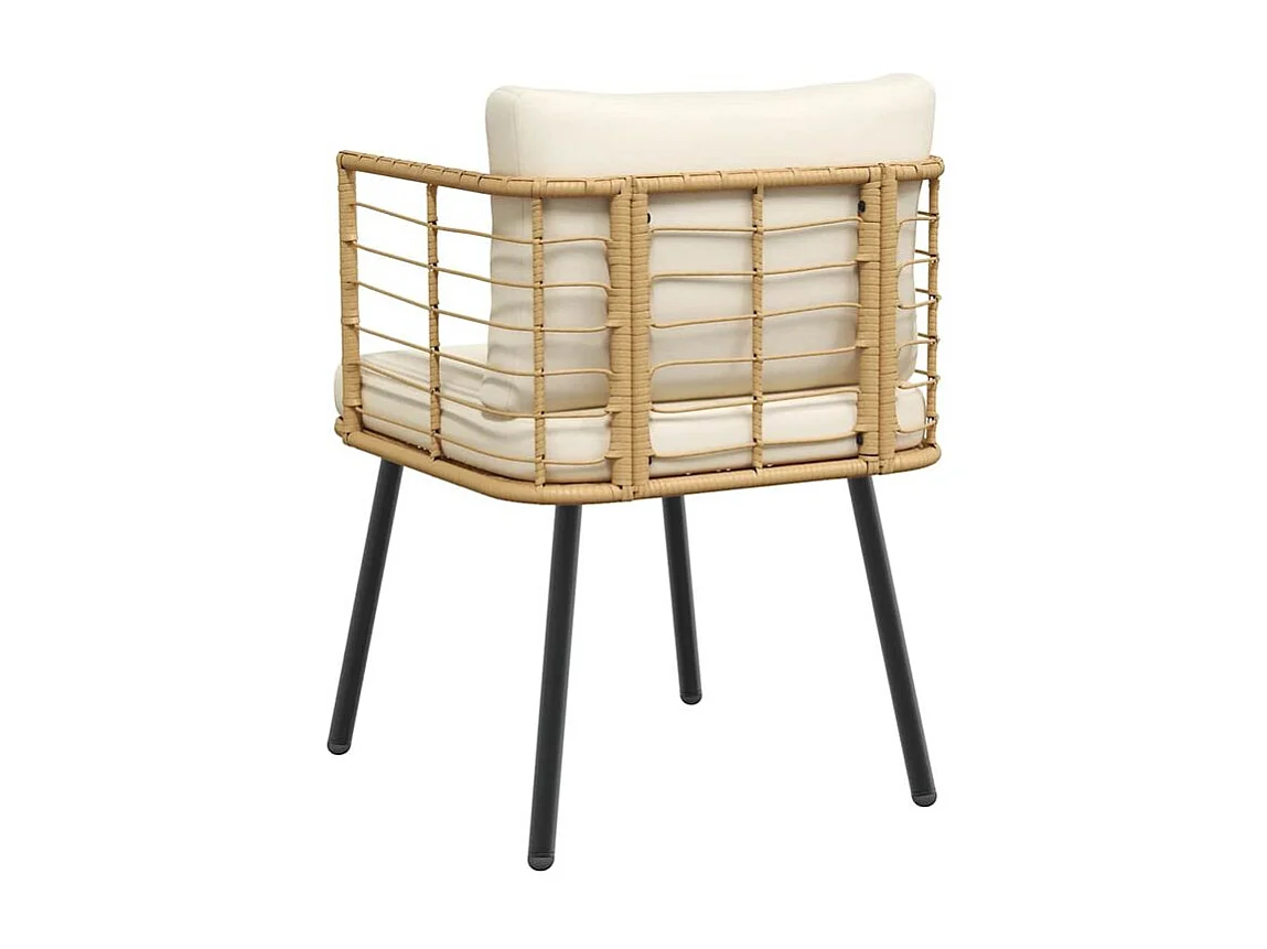 Chaises de jardin lot de 2 avec coussins naturel résine tressée