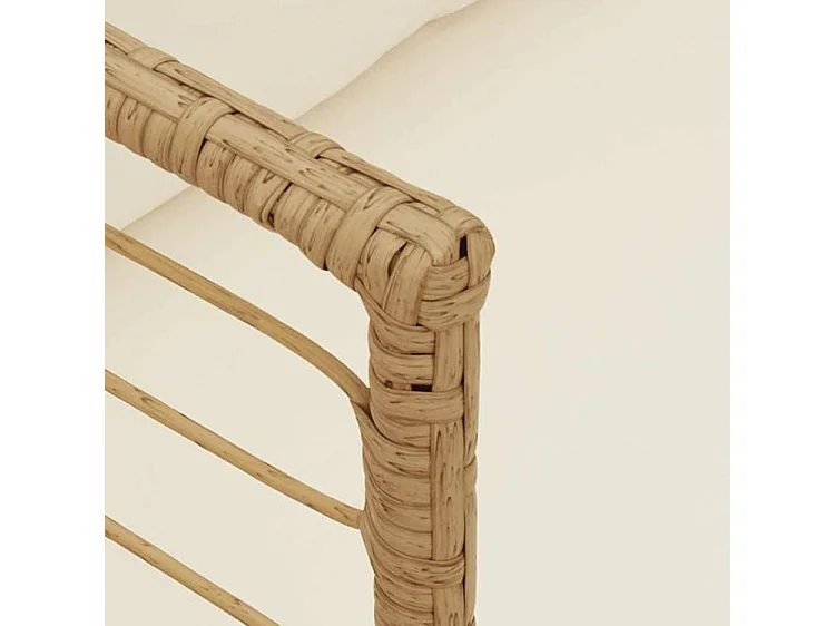 Chaises de jardin lot de 2 avec coussins naturel résine tressée