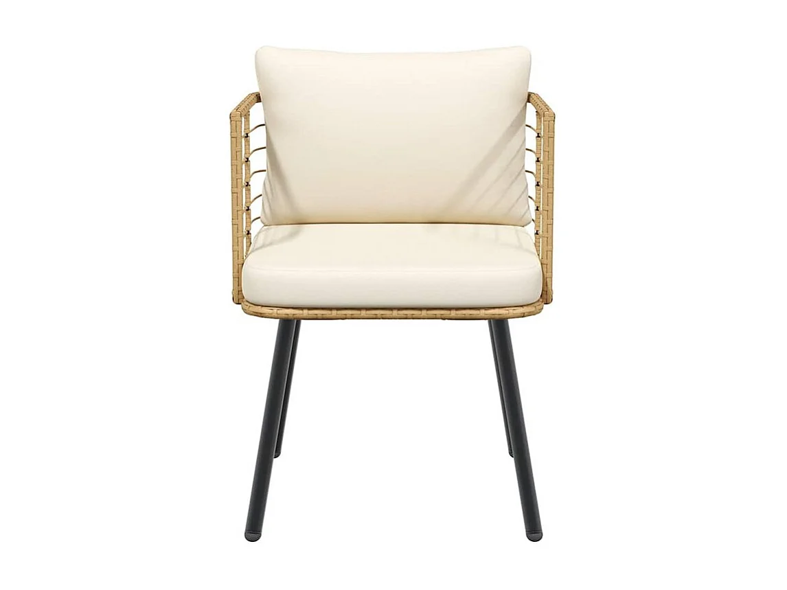 Chaises de jardin lot de 2 avec coussins naturel résine tressée