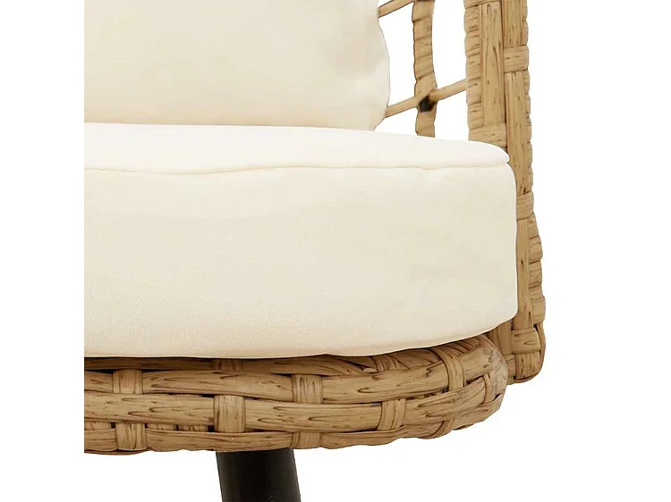 Chaises de jardin lot de 2 avec coussins naturel résine tressée