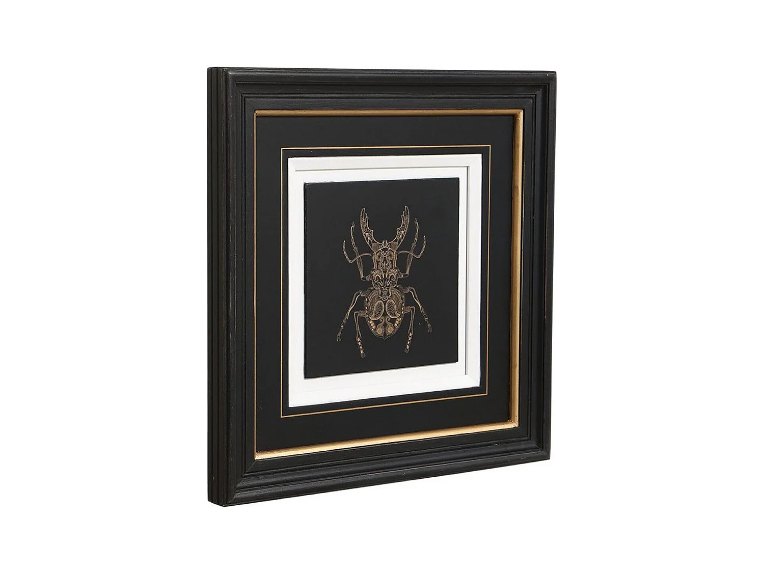 Gravure insecte (set de 4) Bois Noir - Chic Interior's