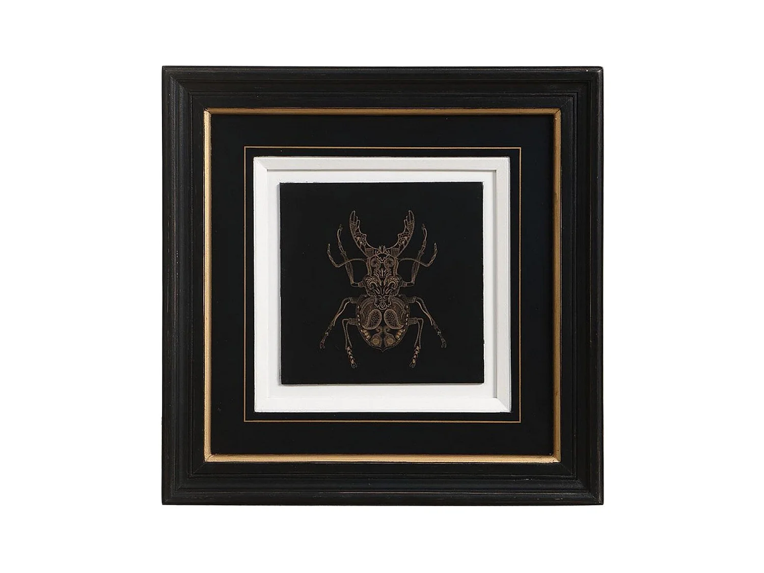 Gravure insecte (set de 4) Bois Noir - Chic Interior's