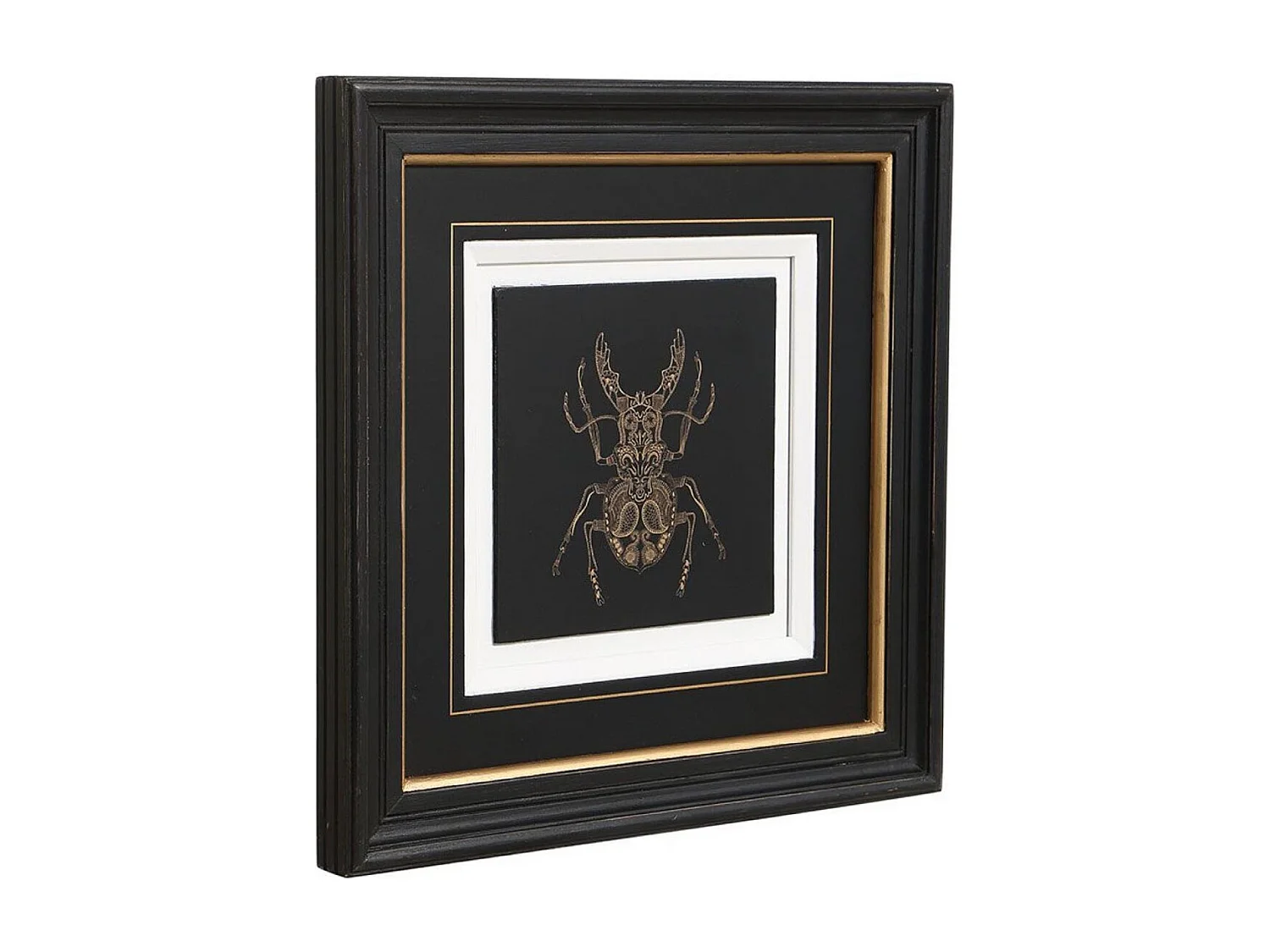 Gravure insecte (set de 4) Bois Noir - Chic Interior's