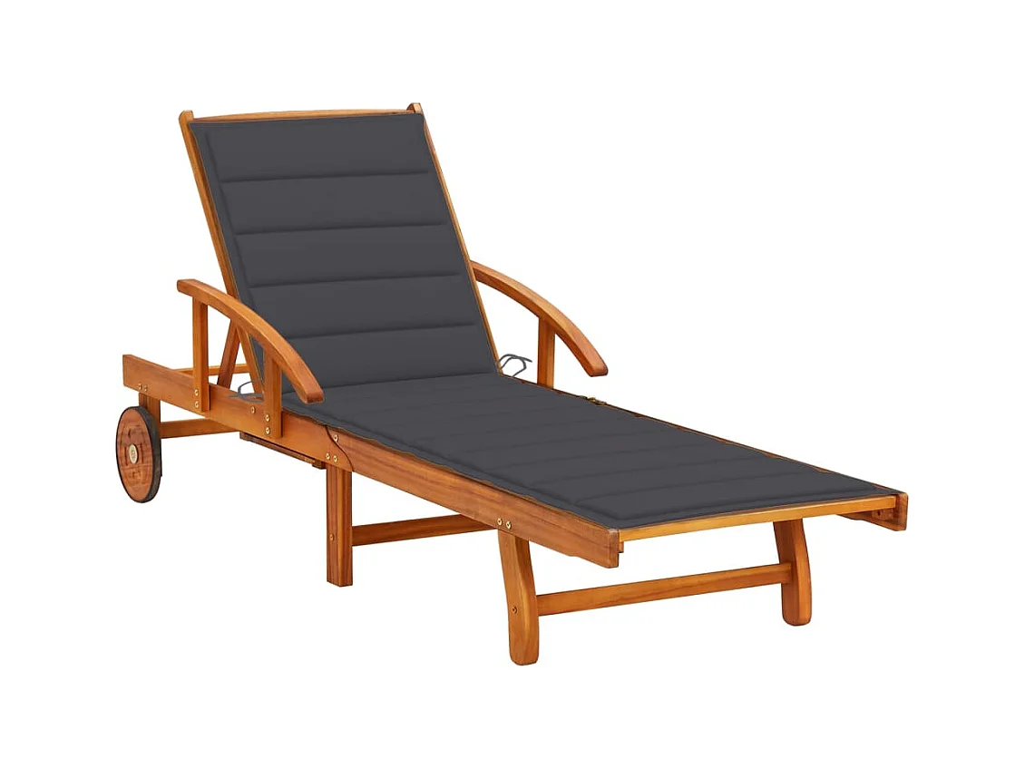 Chaise longue de jardin avec coussin Bois d'acacia solide 25
