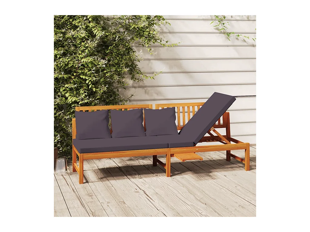 vidaxL Lit de jour avec coussin gris 200x60x75 Bois d'acacia solide