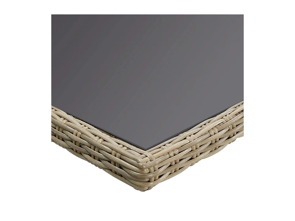 Table à dîner Marron 200x100x74 Verre et résine tressée