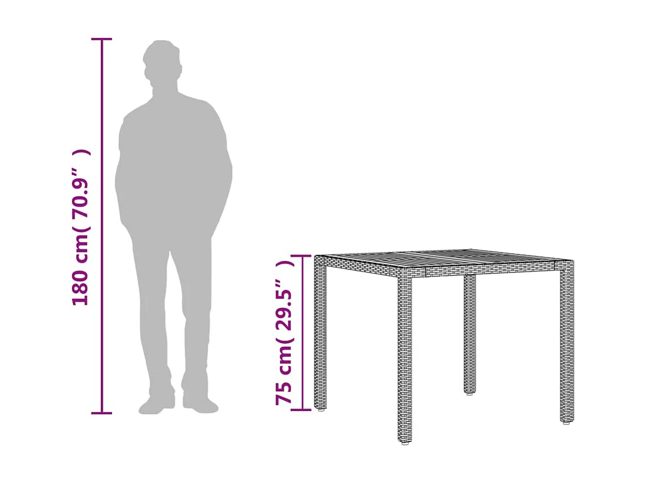 Table de jardin et dessus en bois d'acacia noir résine tressée