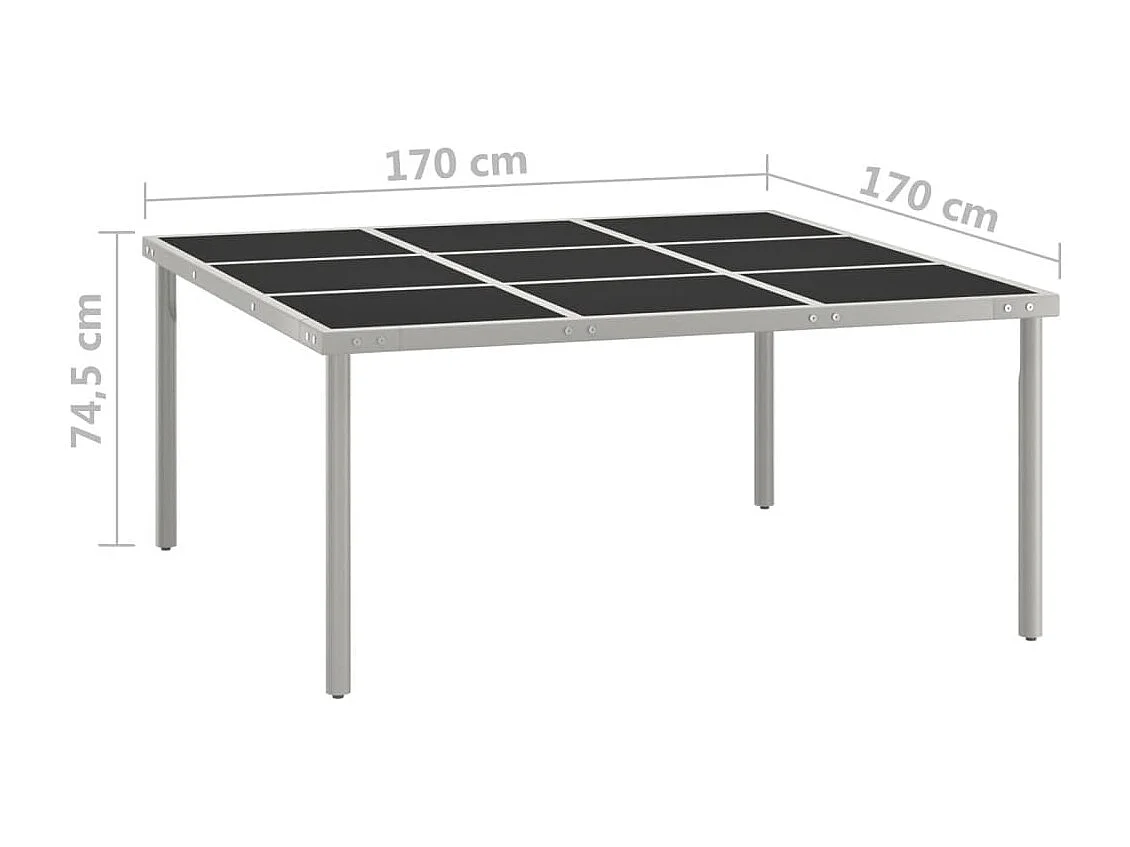 Table de salle à manger de jardin 170x170x74,5 Verre et acier