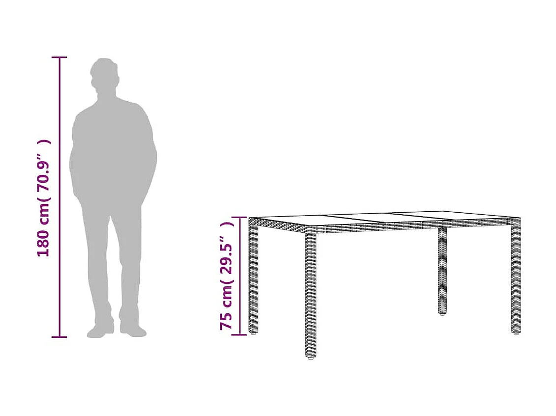 Table de jardin dessus en verre Noir 150x90x75 Résine tressée