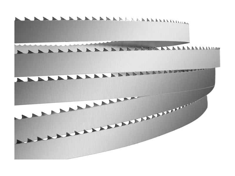 Botzaagmachine SucceBuy Lintzaagblad: Ideaal voor het Snijden van Vlees en Botten, 165 cm Lang, Duurzaam en Nauwkeurig Zagen, Zilverkleurig