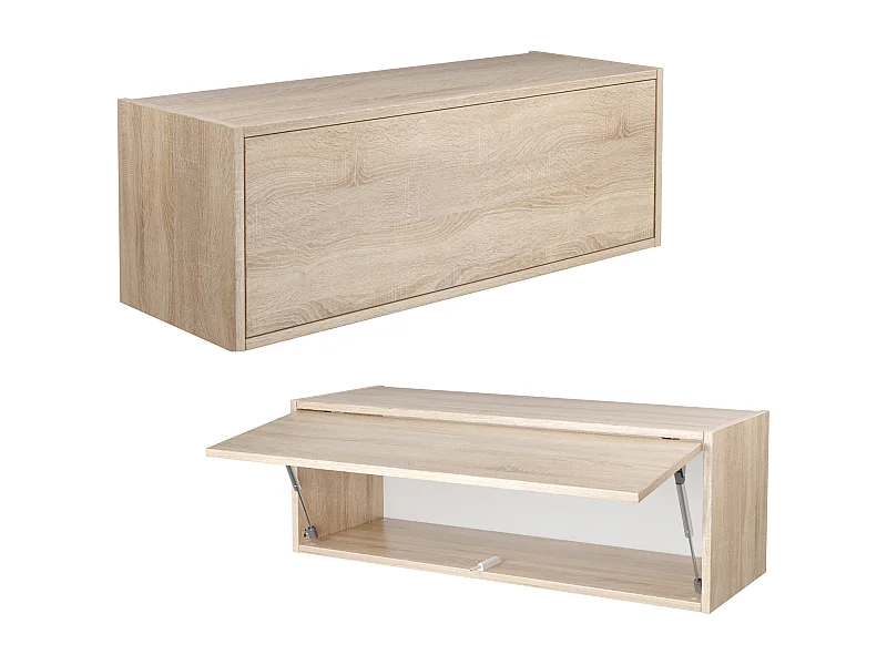 Hangkast - 60 cm - 80 x m - 100 cm - Klapbare wandkast - Voor badkamer, gang of woonkamer