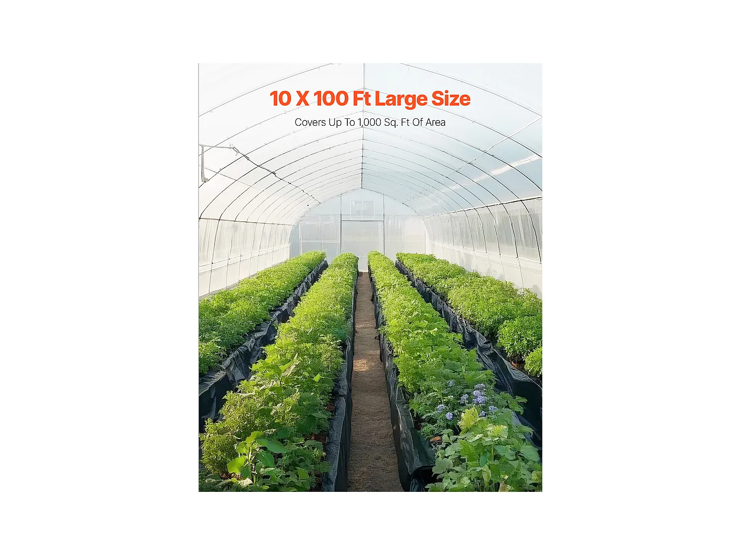 Bâche Plastique Robuste SucceBuy Rouleau de Film Plastique 0.35 mm, 305 x 3048 cm, Film Robuste, Côtés Noir et Blanc