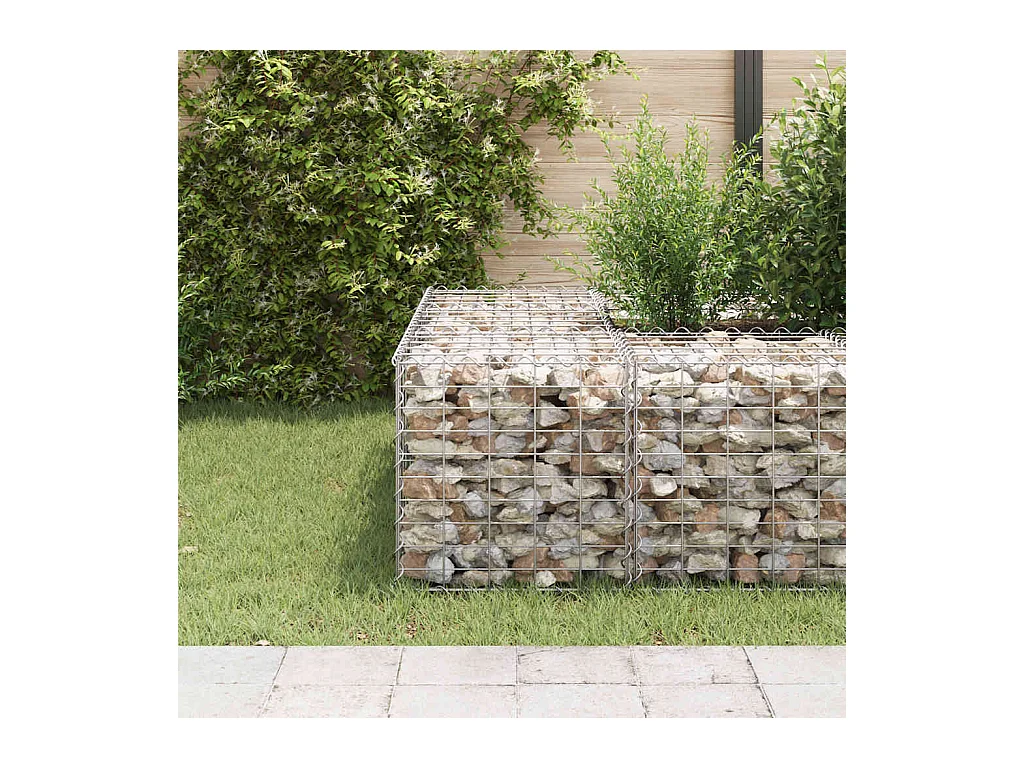 Lit surélevé cube à gabion Fil d'acier 50x50x50 cm