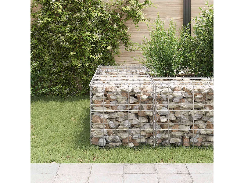 Lit surélevé cube à gabion Fil d'acier 50x50x50 cm