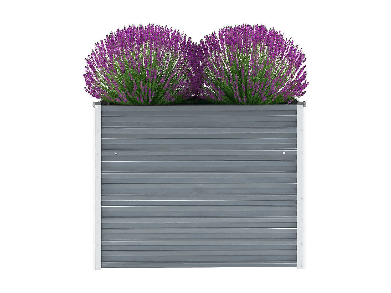 Lit surélevé de jardin Acier galvanisé 100x40x77 cm Gris