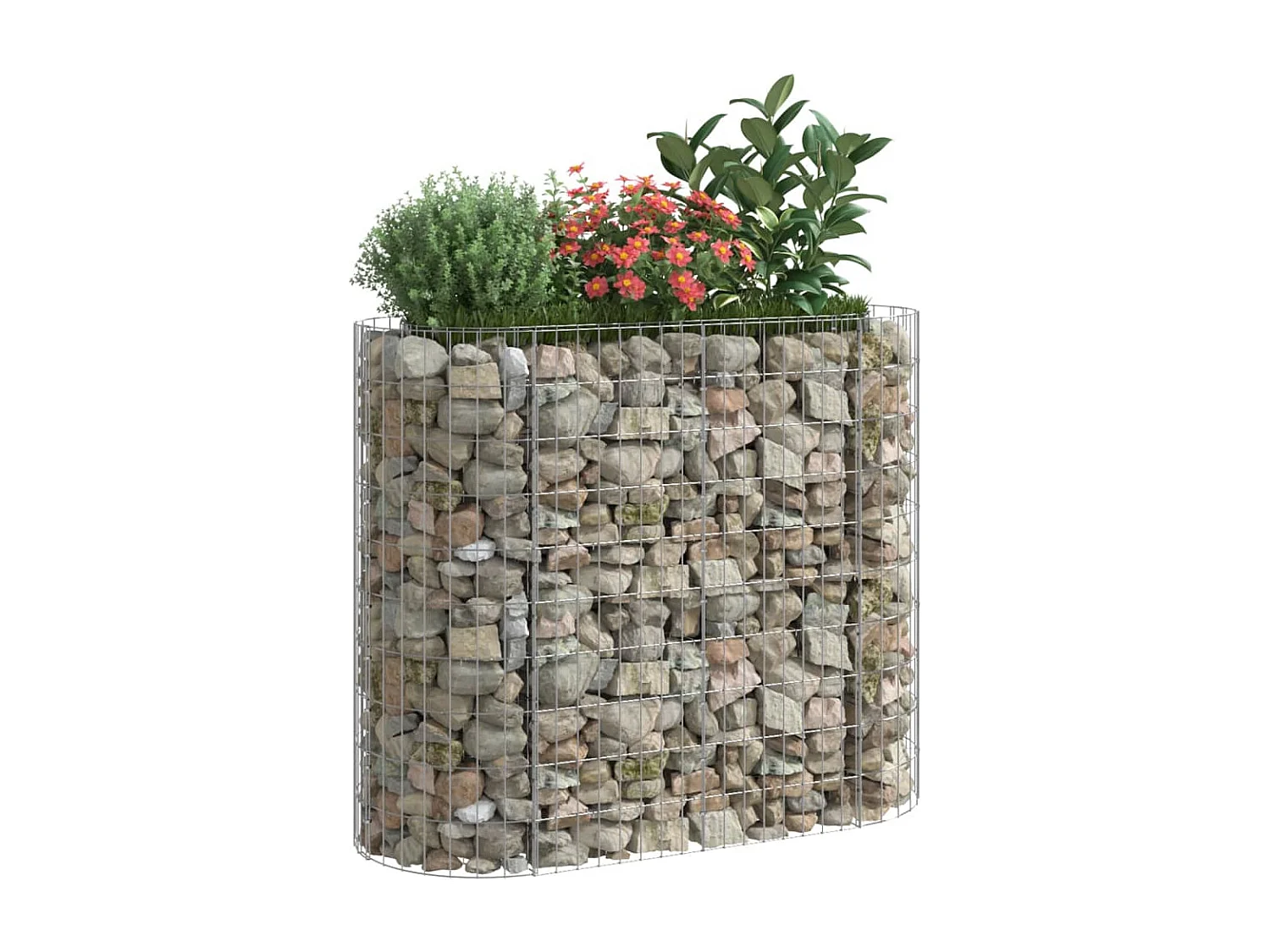 Lit surélevé à gabion Fer galvanisé 120x50x100 cm